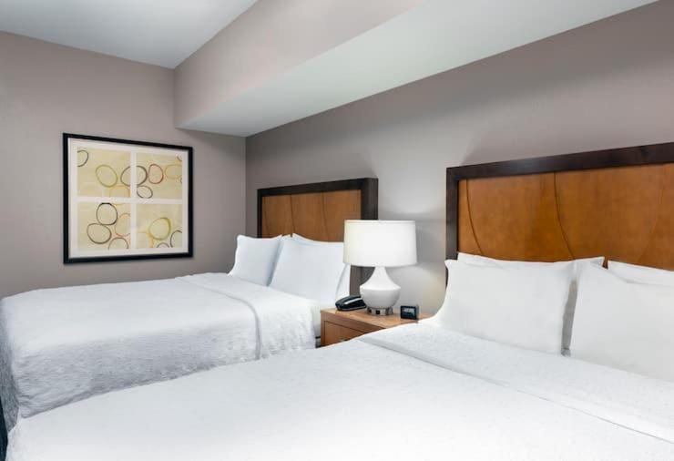 Hampton Inn And Suites Clayton/St. Louis-Galleria Area Exterior foto